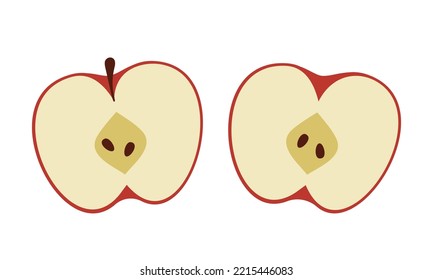 Apple half  Two piece red fruit and seeds  Isolated vector illustration in flat style 