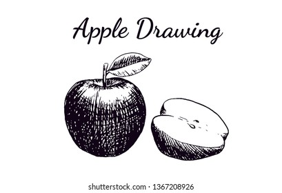 Apple Hand Drawing