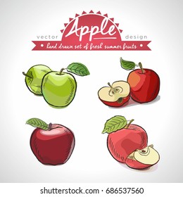 Apple. Hand drawn collection of vector sketch detailed fresh fruits.Isolated