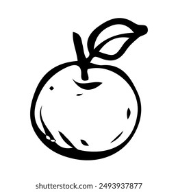 Apple hand drawn in doodle style. Sweet fruit from the apple tree. Farm grown products. Healthy food. Vitamins from the garden. Vector line art illustration.