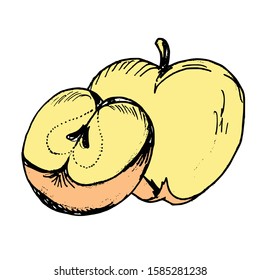 Apple Hand drawn icon vector simple design