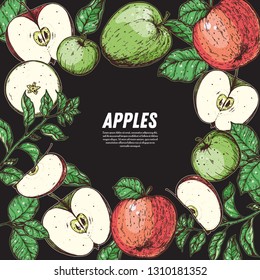 Apple hand drawn illustration. Red and green vector illustration. Apple and leaf design. Colorful frame. 