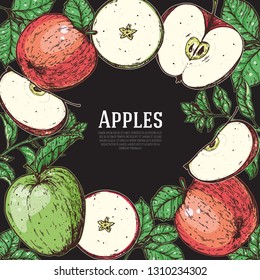 Apple hand drawn illustration. Red and green vector illustration. Apple and leaf design. Colorful frame.