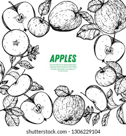 Apple hand drawn illustration. Apple sketch vector illustration. Apple and leaf design. Vintage frame.