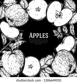 Apple hand drawn illustration. Apple sketch vector illustration. Apple and leaf design. Vintage frame.