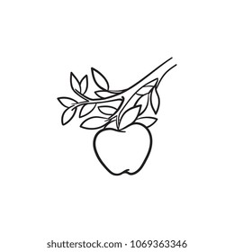 Icono del doodle dibujado a mano por Apple. Ilustración de boceto vectorial de árbol de manzana para impresión, web, móvil e infografía aislados en fondo blanco.