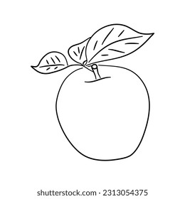 Apple. Hand drawn outline doodle icon. Transparent isolated on white background. Vector illustration.