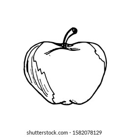 Apple hand drawn sketch. Vector illustration