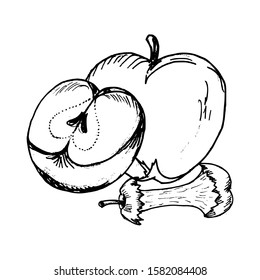 Apple hand drawn sketch. Vector illustration