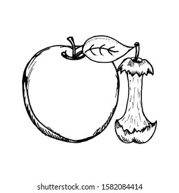 Apple hand drawn sketch. Vector illustration