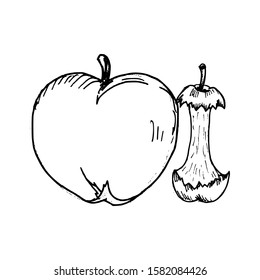 Apple hand drawn sketch. Vector illustration