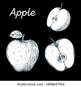 Apple hand drawn vector illustration. Apple slice sketch. Vector illustration. Black and white.
