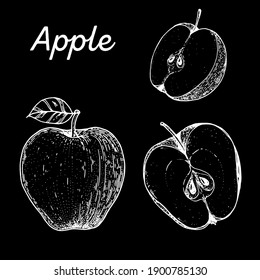 Apple hand drawn vector illustration. Apple slice sketch. Vector illustration. Black and white.