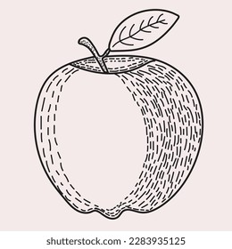 Apple Hand Drawn vector. labels, photography, product packaging