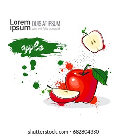 Apple Hand Drawn Watercolor Fruit On White Background With Copy Space Vector Illustration