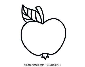 Apple with a handle and a leaf - coloring book. Linear vector apple for coloring. Outline. Hand drawing. white isolate