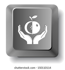 apple in hands. Vector computer key.