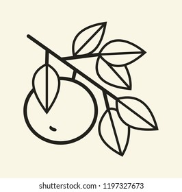 apple hangs on a branch black contour on a white background simple drawing