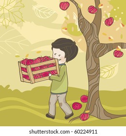 apple harvest