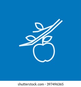Apple harvest line icon.