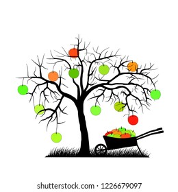 Apple harvest. Apple tree with wheelbarrow.Vector illustration.Eps10