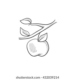 Apple harvest vector sketch icon isolated on background. Hand drawn Apple harvest icon. Apple harvest sketch icon for infographic, website or app.