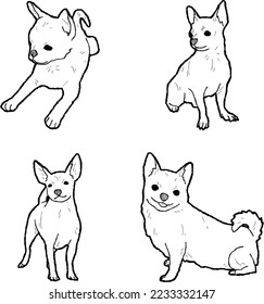 Cabeza de Apple Chihuahua Vector Ilustración Dibujar arte de caricatura animal