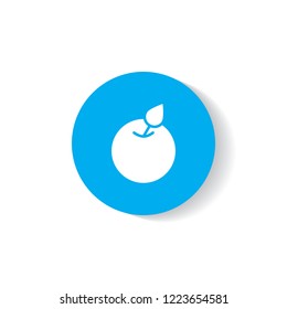 apple icon in blue circle with shadow education fruit