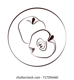apple icon in the circle