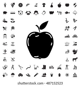 Apple icon illustration isolated vector sign symbol