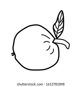 Apple icon isolated on white background. Apple outline style. Fruit emblem, logo. Modern signs, outline symbols, simple thin line icons set for websites, web design, mobile app, infographics. Vector