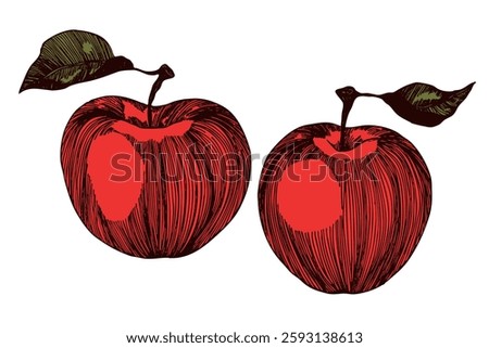 Apple icon isolated sketch. Tattoo apples collection. Template vector illustration for packaging, banner, card and other design. Black and white apples with leaves. Food concept.