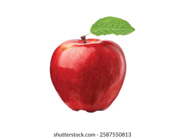 Apple icon on white background. Vector illustration