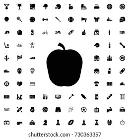 Apple icon. set of filled sport icons.