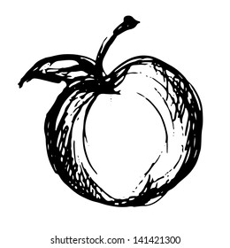 Apple Icon Sketch - Vector