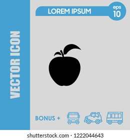 Apple icon vector
