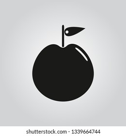 Apple icon vector