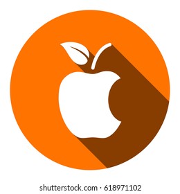 Apple icon vector