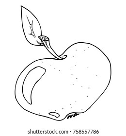 Apple icon. Vector illustration of an apple. Hand drawn apple.