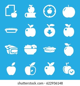 Apple icons set. set of 16 apple filled icons such as pie