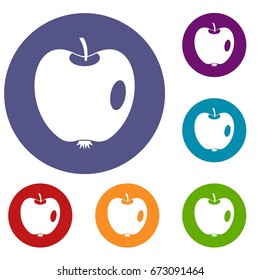 Apple icons set in flat circle reb, blue and green color for web