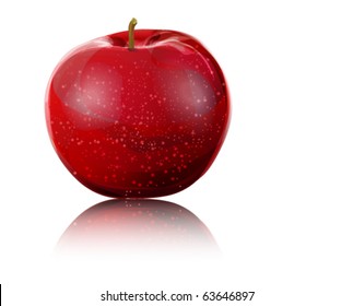 apple illustration