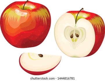 Apple - illustration of a fresh red apple