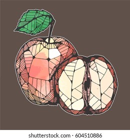 Apple illustration on a colored background, vector