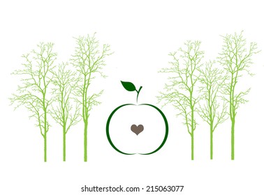 Apple  Illustration on  white background.