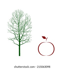 Apple  Illustration on white background.