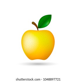 Apple illustration. Vector isolated illustration on white background.