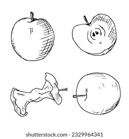 Apple illustrations. Vector sketches. Isolated on white. Hand-drawn style.