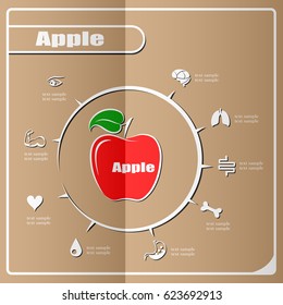 Apple Infographics, Fruit. Vector illustration.