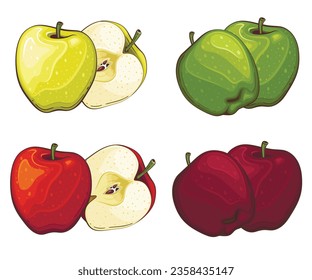 Apfel, einzelne Vektorgrafik. Früchte bunte Illustrationen einzeln auf weißem Hintergrund.  Obstsammlung